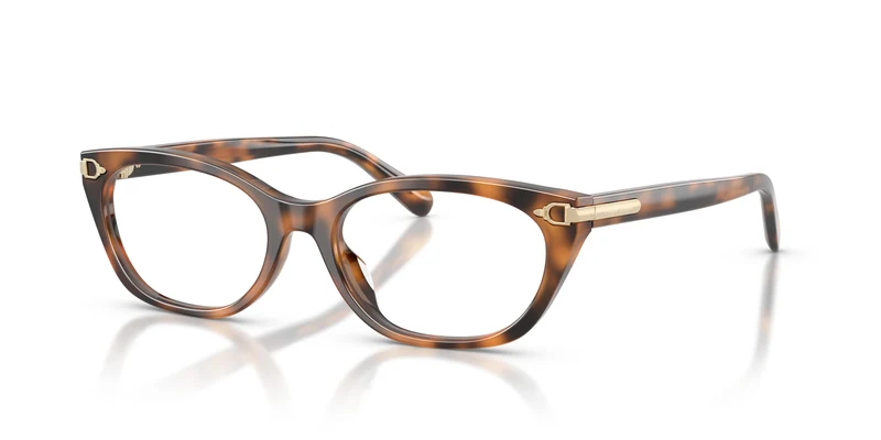 Ralph Lauren RL6268U 6089 51