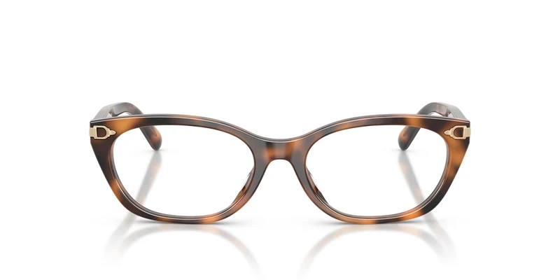 Ralph Lauren RL6268U 6089 51