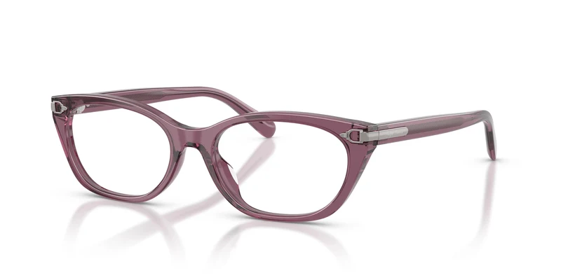 Ralph Lauren RL6268U 6389 51