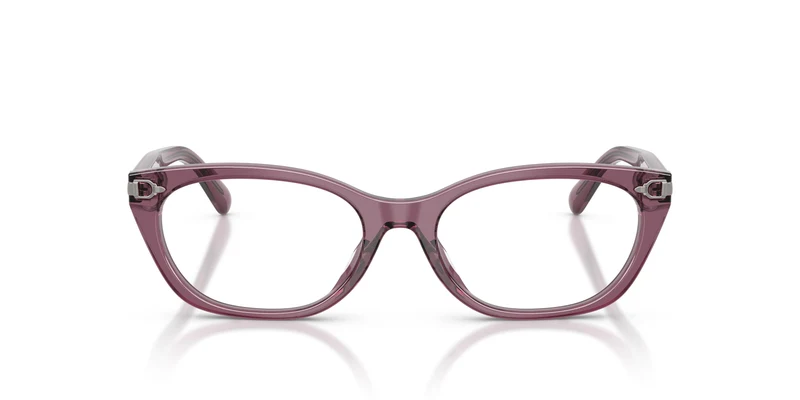 Ralph Lauren RL6268U 6389 51