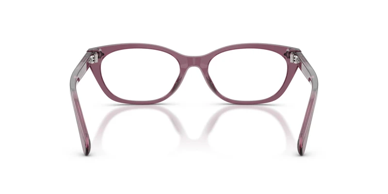 Ralph Lauren RL6268U 6389 53