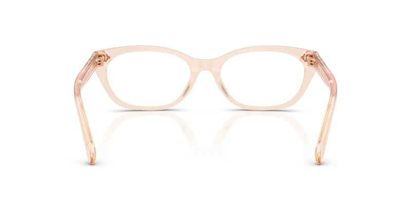 Ralph Lauren RL6268U 6385 53