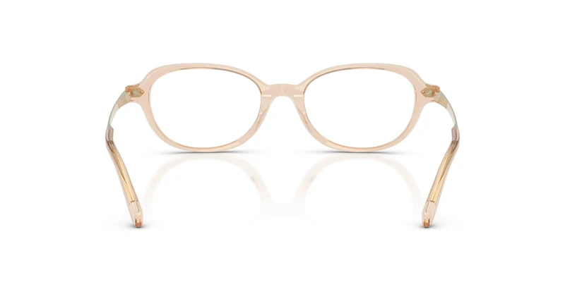 Ralph Lauren RL6269U 6062 51