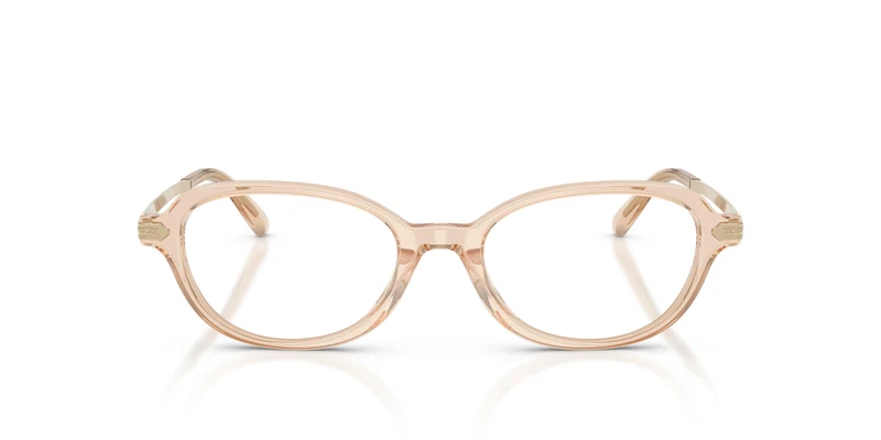 Ralph Lauren RL6269U 6062 51