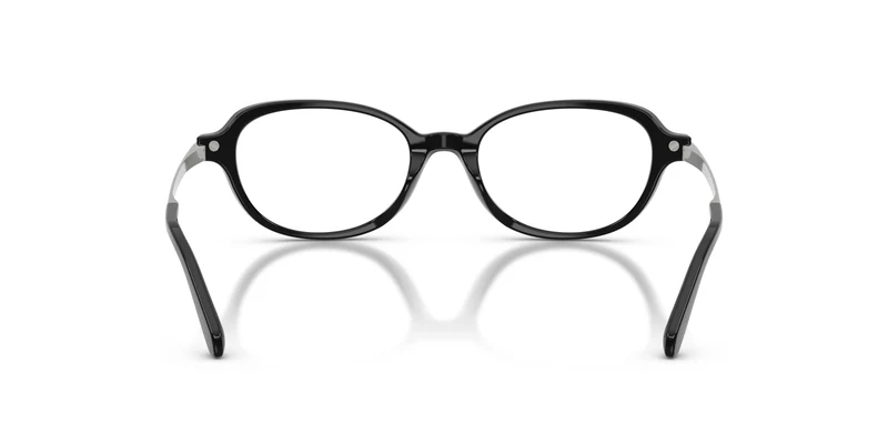 Ralph Lauren RL6269U 5001 49