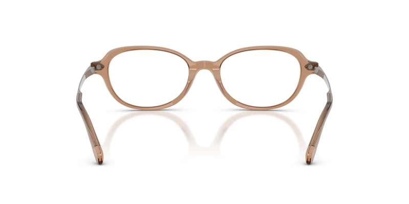 Ralph Lauren RL6269U 6377 49