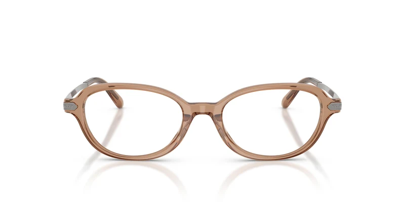 Ralph Lauren RL6269U 6377 49