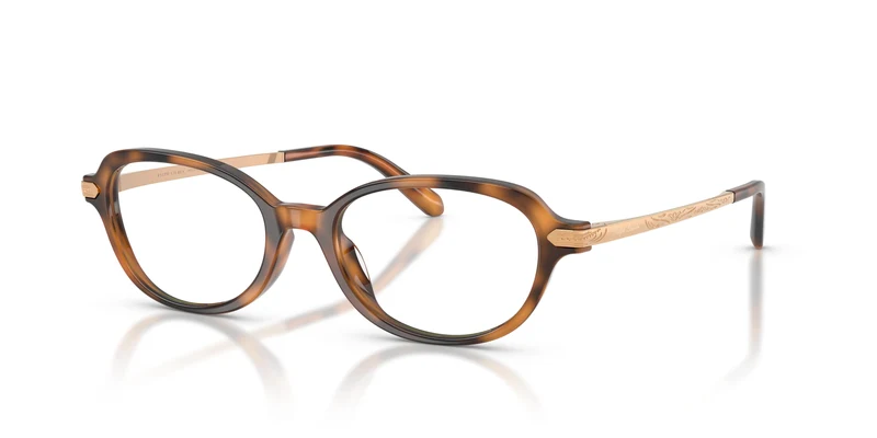 Ralph Lauren RL6269U 6089 51