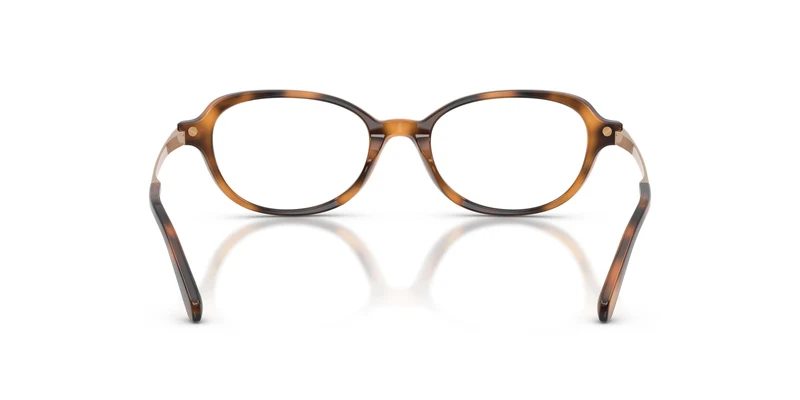 Ralph Lauren RL6269U 6089 51