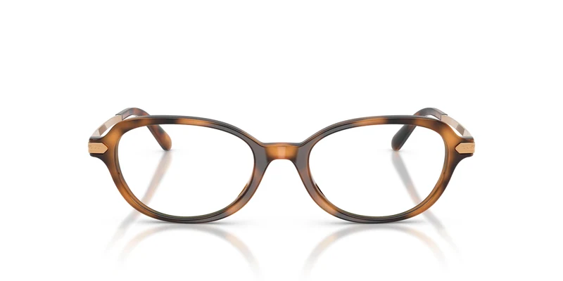 Ralph Lauren RL6269U 6089 51
