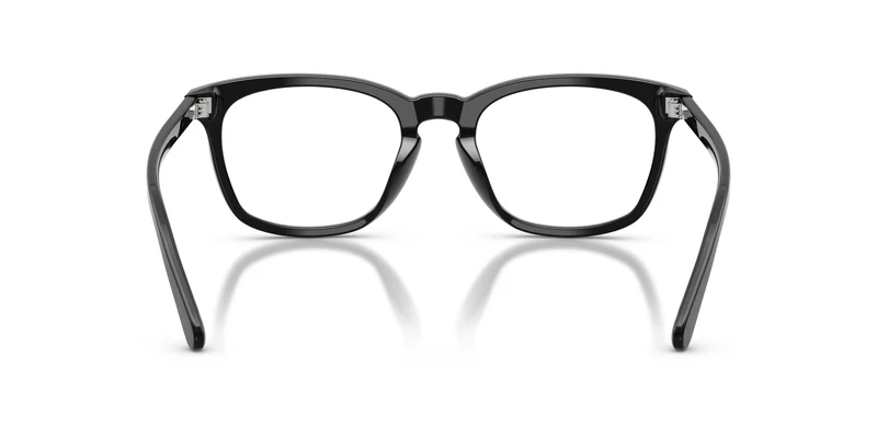 Ralph Lauren RL6270U 5001 53