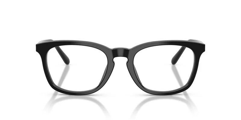 Ralph Lauren RL6270U 5001 53
