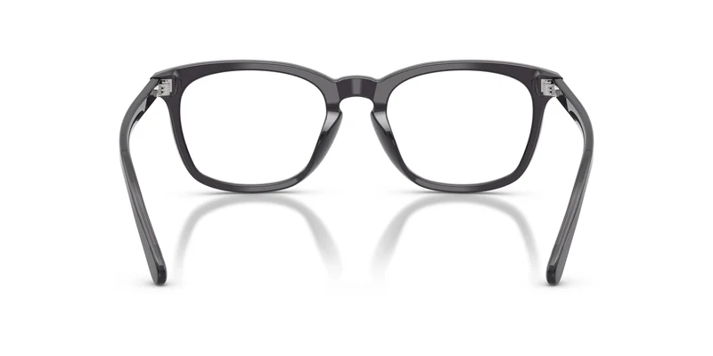 Ralph Lauren RL6270U 5965 53
