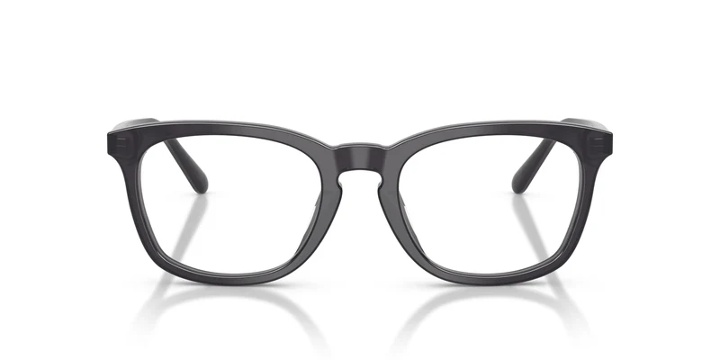 Ralph Lauren RL6270U 5965 53