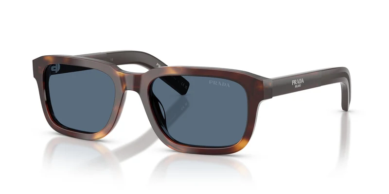 Prada PR D16S 15W06A 55