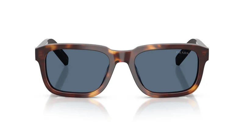 Prada PR D16S 15W06A 55