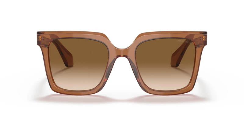 Giorgio Armani AR8156 593251 52