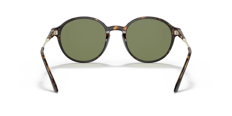 Giorgio Armani AR8160 50262A 51