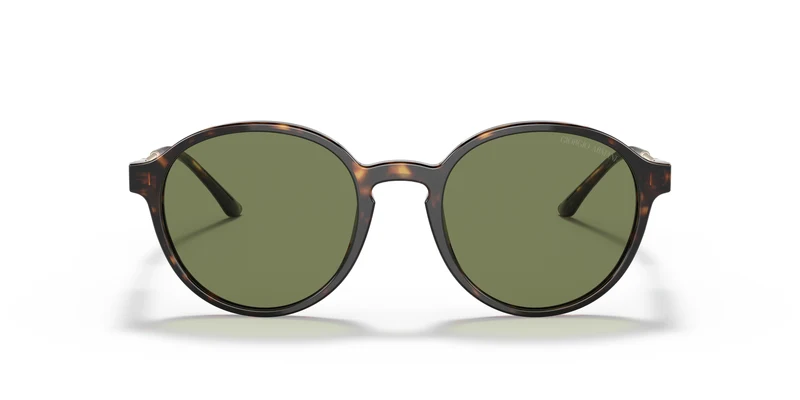 Giorgio Armani AR8160 50262A 51