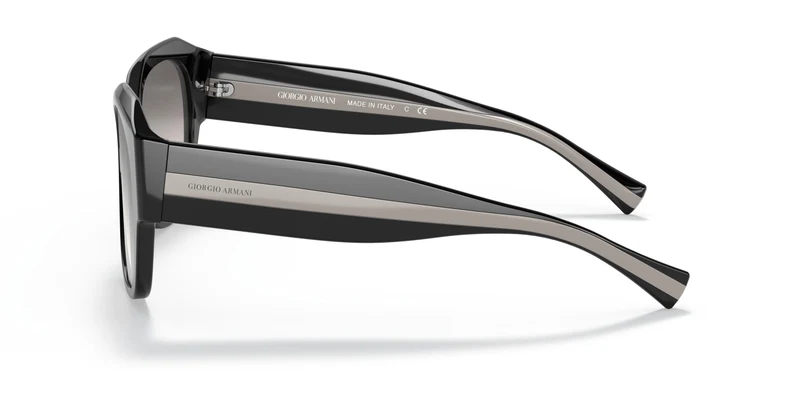 Giorgio Armani AR8140 50016I 53