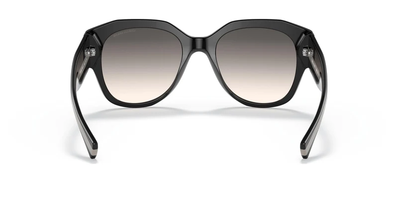 Giorgio Armani AR8140 50016I 53