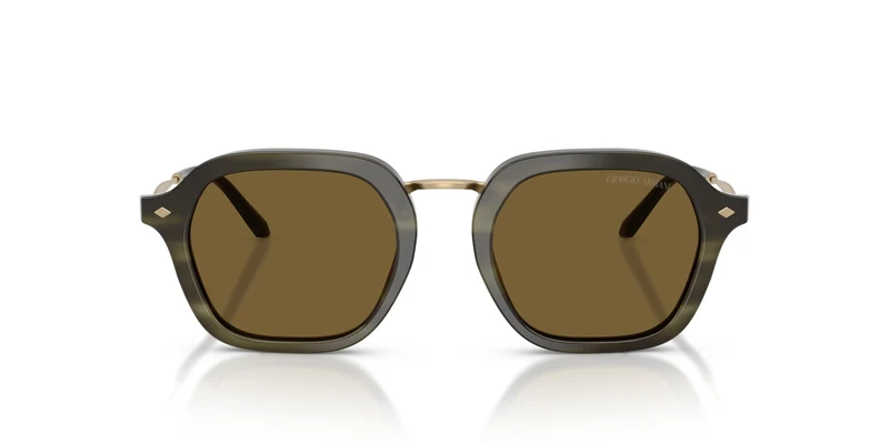 Giorgio Armani AR6190 616873 49