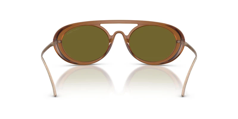 Giorgio Armani AR8256 6410/2 52