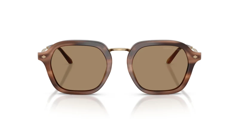 Giorgio Armani AR6190 646573 49