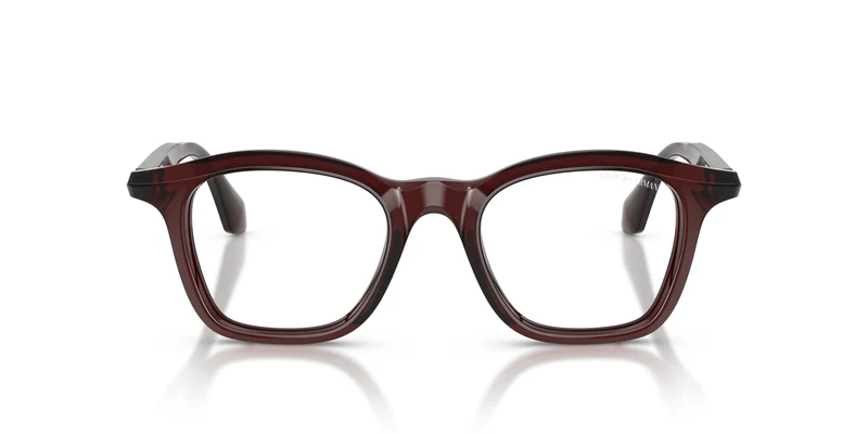 Giorgio Armani AR8257 64221W 48
