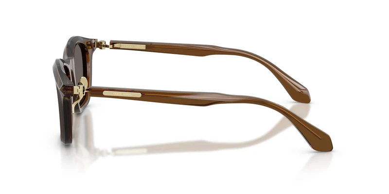 Giorgio Armani AR8257 642453 48