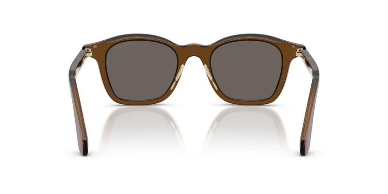 Giorgio Armani AR8257 642453 48