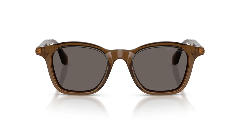 Giorgio Armani AR8257 642453 48