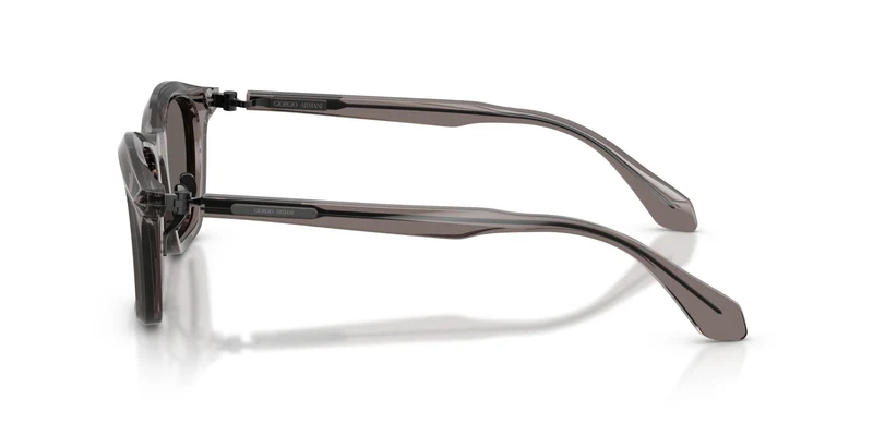 Giorgio Armani AR8257 6423B1 48