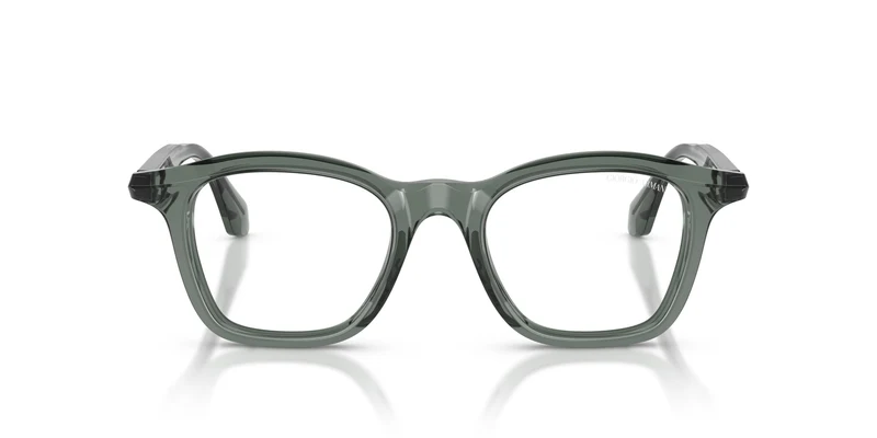 Giorgio Armani AR8257 64251W 48
