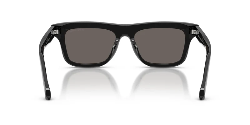 Giorgio Armani AR8259U 6060B1 53