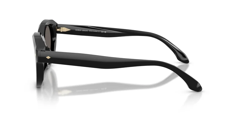 Giorgio Armani AR8261U 6060B1 47