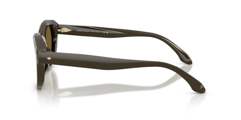 Giorgio Armani AR8261U 643473 47