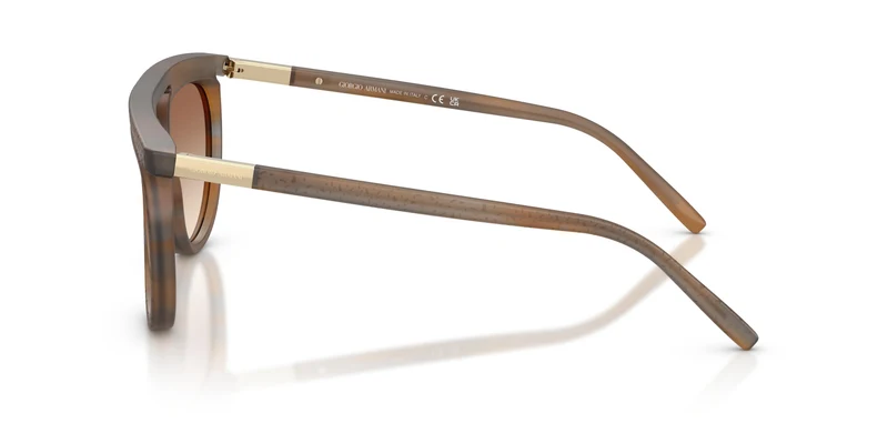 Giorgio Armani AR8262 642913 58