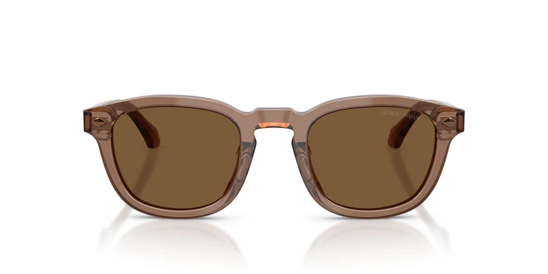 Giorgio Armani AR8266U 646973 49
