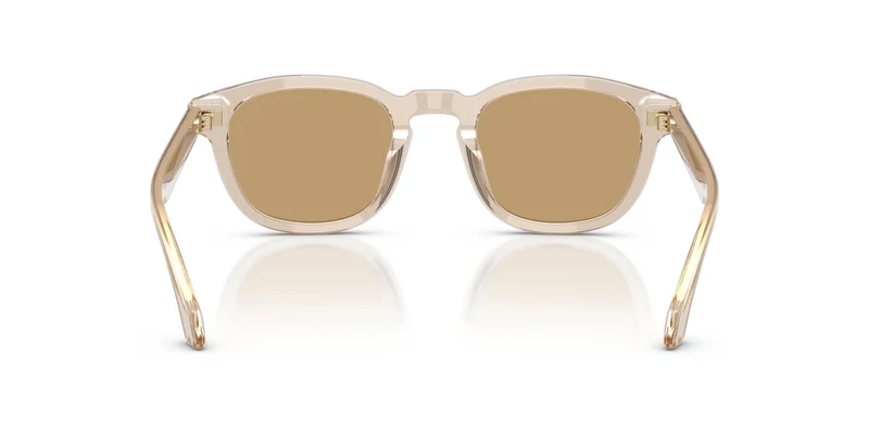 Giorgio Armani AR8266U 647173 49
