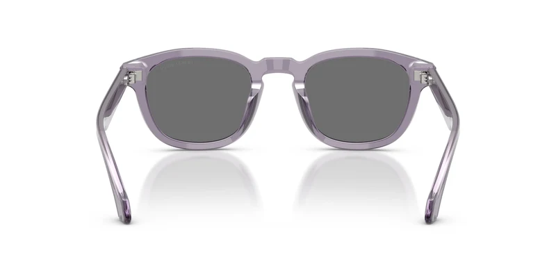 Giorgio Armani AR8266U 647287 49