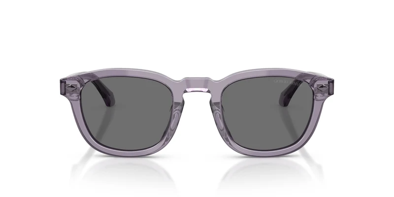 Giorgio Armani AR8266U 647287 49