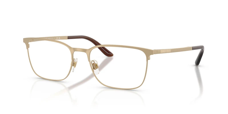 Giorgio Armani AR5054 3002 55