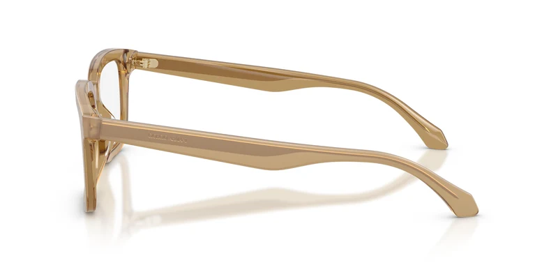 Giorgio Armani AR7293U 6473 53