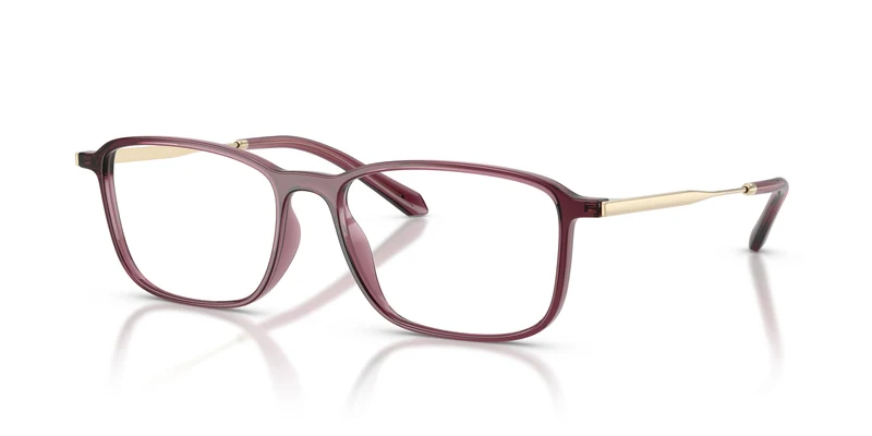 Giorgio Armani AR7294U 6487 53