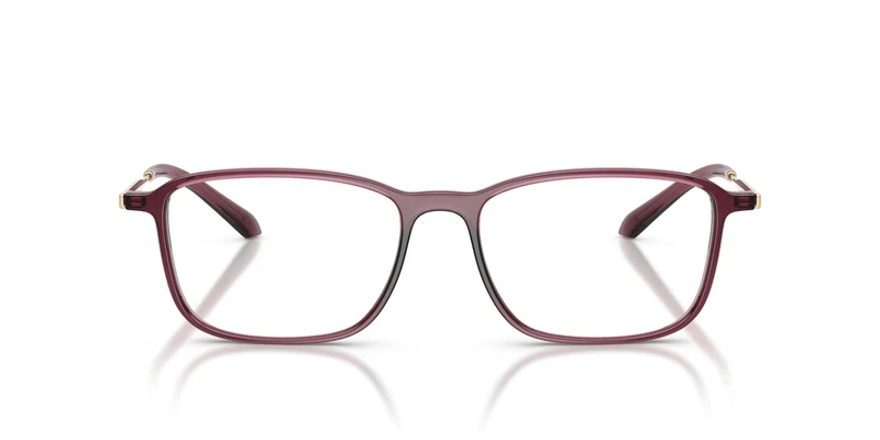 Giorgio Armani AR7294U 6487 55