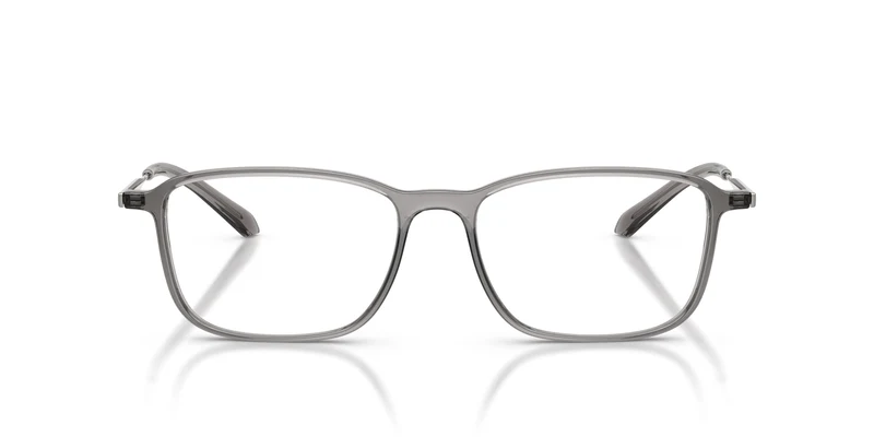Giorgio Armani AR7294U 6489 55