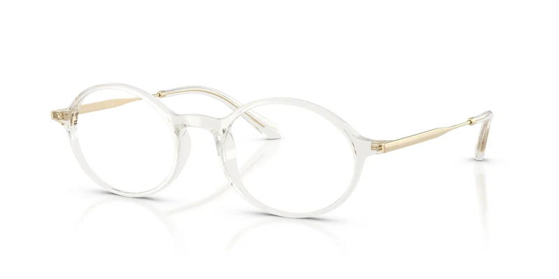 Giorgio Armani AR7295U 6482 50