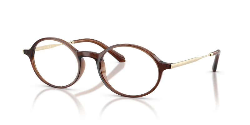 Giorgio Armani AR7295U 6484 50
