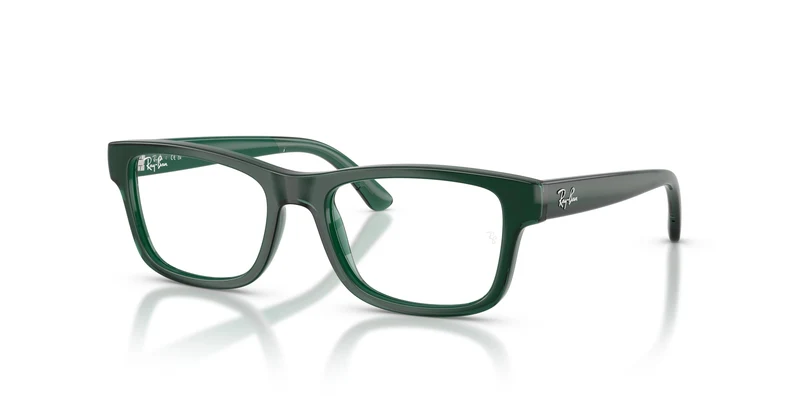 Ray-Ban RY1951 7545 48